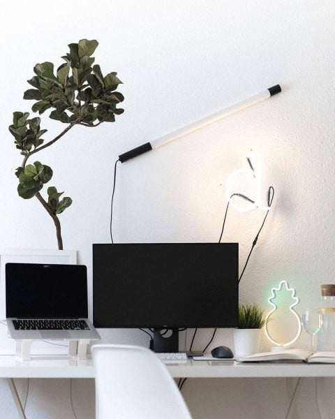 Botanical Sticker | Fiddle-leaf fig Bambino